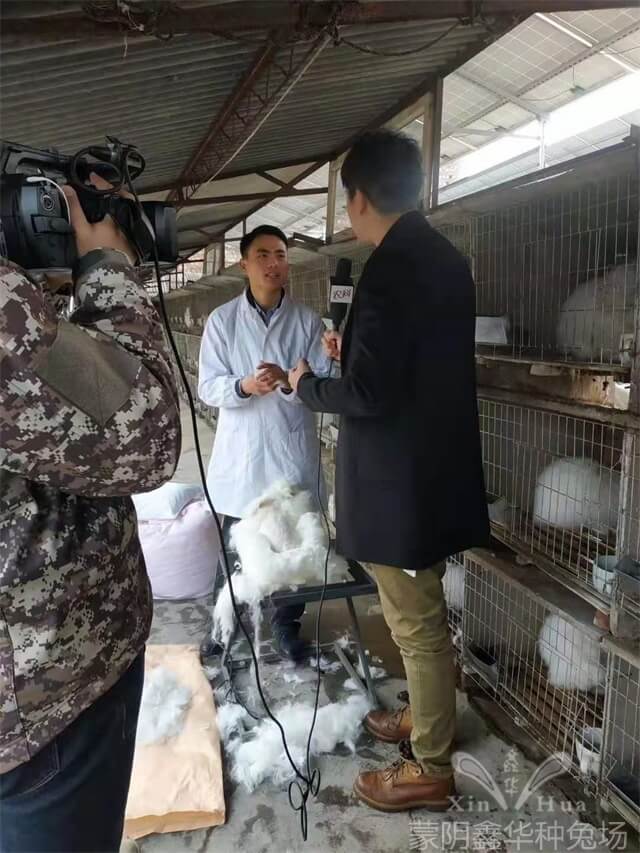 園區(qū)景觀